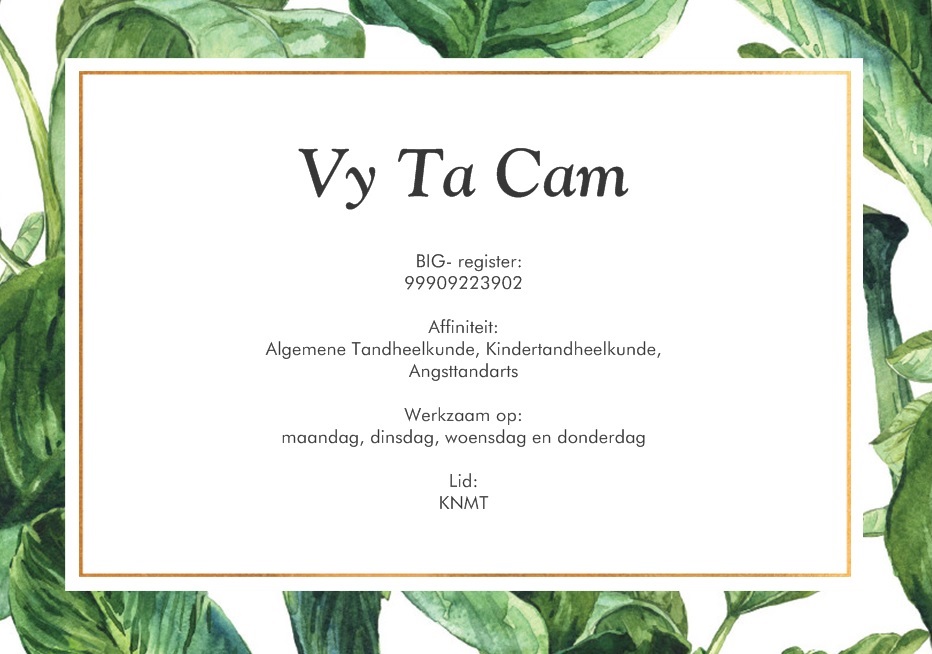 Vy Ta Cam - BIG-register 99909223902 - Algemene Tandheelkunde, Kindertandheelkunde, Angsttandarts - maandag t/m donderdag - lid KNMT